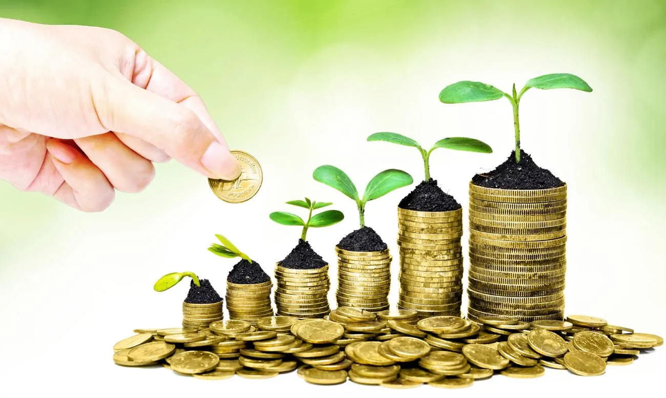 A hand adding a coin to a row of coin stacks planted with small seedlings, representing steady growth